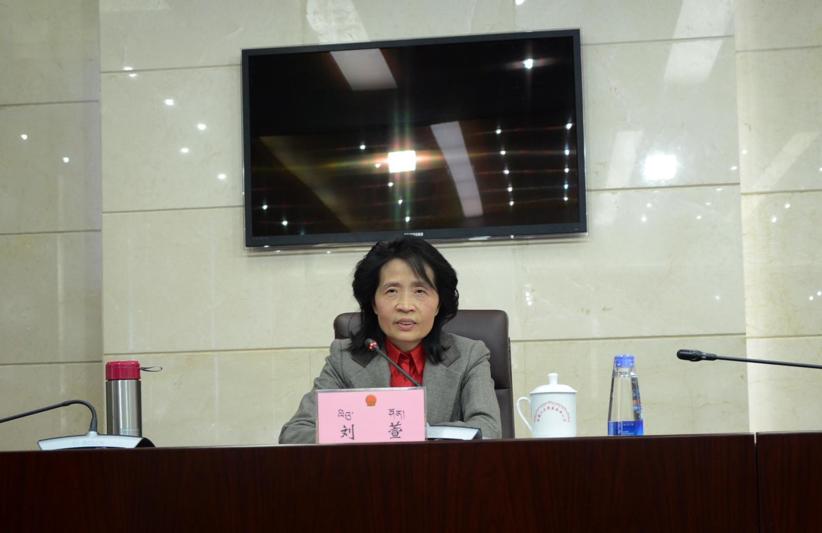 自治區(qū)政府副秘書長、政府新聞發(fā)言人劉萱.jpg