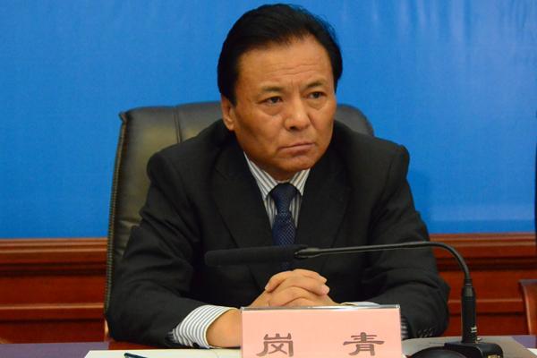 西藏自治區(qū)文化廳黨組副書記、廳長 崗青.jpg